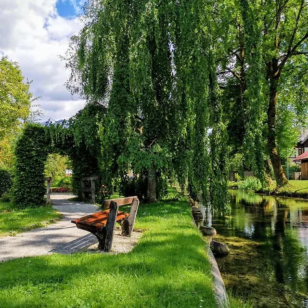 Jonas Deluxe Panoramablick * Bad Goisern